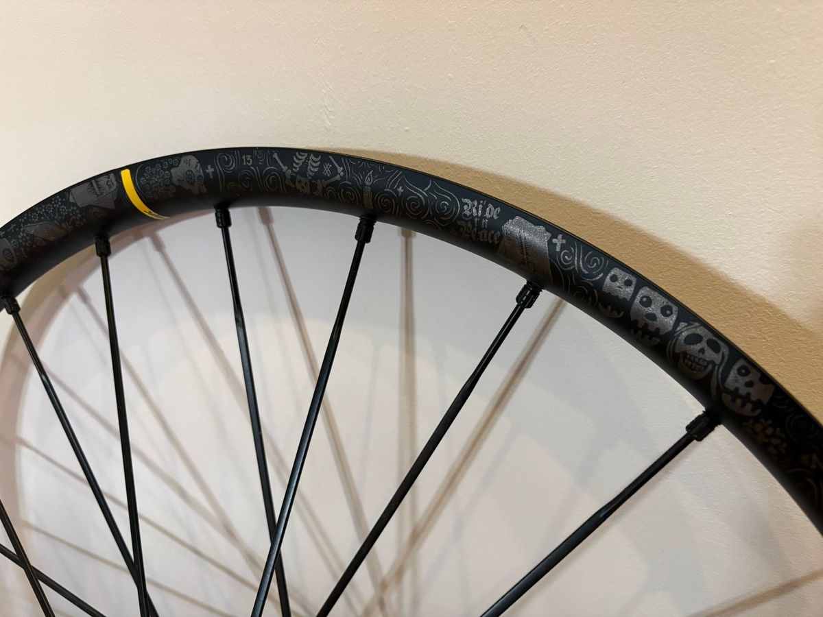 Used Mavic Deemax Pro Sam Hill Wheelset – € 450 | buycycle