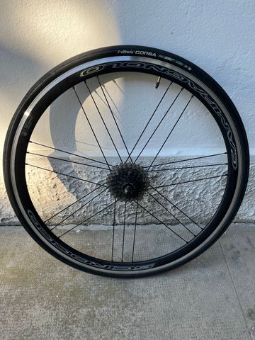 Campagnolo Scirocco 2021 Wheels d'occasion