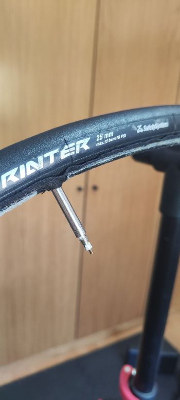 Used Continental Sprinter 25mm Tubular 2025 bike — image 4 of 5
