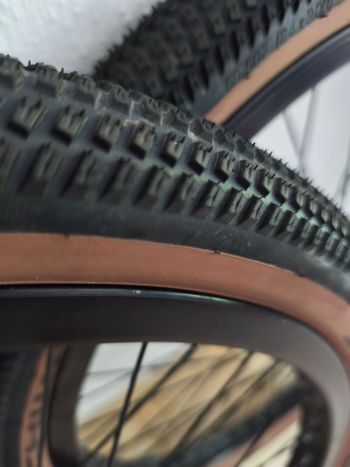 Used Keine Billy Bonkers 24x2.00 Faltreifen 2024 bike — image 4 of 5