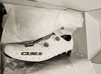 Used Q36.5 Unique Road Shoes White 2026 bike