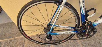 Used Campagnolo Super Record 11-Speed Cassette 2013 bike — image 3 of 11