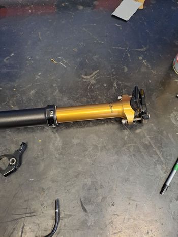 Used Fox Transfer Sl 2025 bike — image 7 of 7