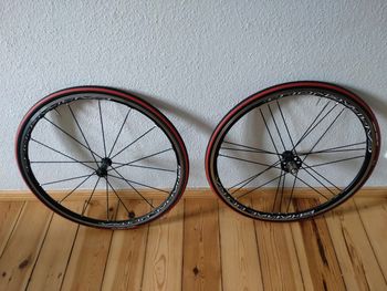 Used Campagnolo Shamal 2023 bike