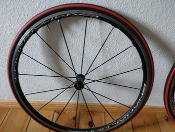 Used Campagnolo Shamal 2023 bike — image 2 of 6