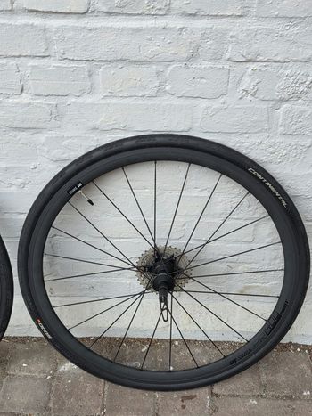 Used Dt Swiss PR 1400 DICUT OXIC Wheels 2022 bike — image 3 of 4