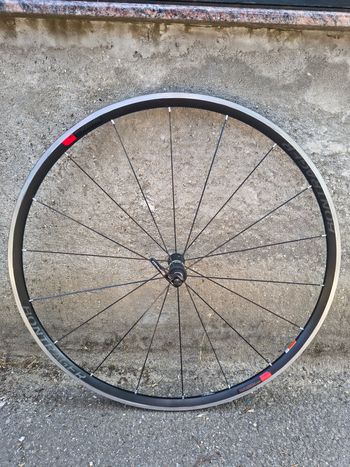 Used Bontrager Paradigm Comp TLR Wheelset 2021 bike — image 7 of 7