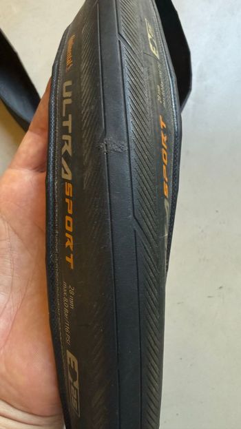 Used Continental Ultra Sport Tires bike — image 3 of 4
