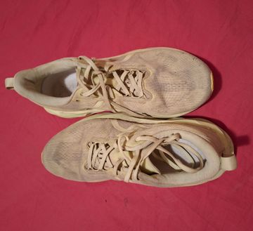 Used Asics Novablast 5 lite show Running Shoes