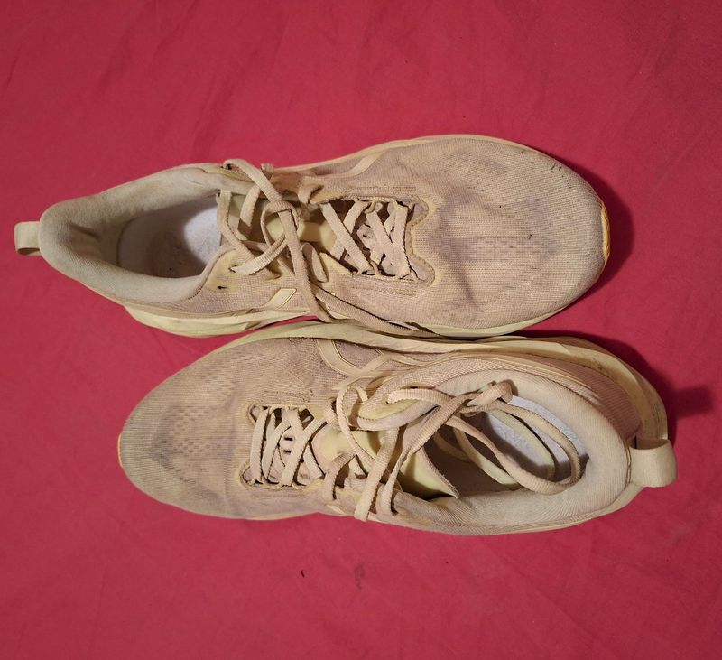 Used Asics Novablast 5 lite show Running Shoes