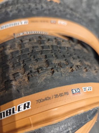 Used Maxxis Rambler EXO TR bike — image 2 of 4