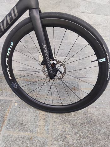 Used Fulcrum Wind 42 Carbon Disc Brake Wheelset 2024 bike — image 2 of 2