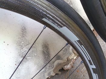 Used Fulcrum speed 40 c rim 2022 bike — image 9 of 11