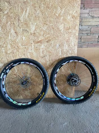 Used PROTOTYPE Carbon World Cup Rainbow edition 29’’ 2020 bike