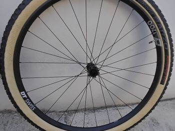 Used Dt Swiss XR 1700 SPLINE 29" Rear Wheel 2024 bike — image 2 of 7