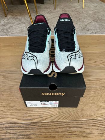 Used Saucony Endorphin Elite 2 2026 bike