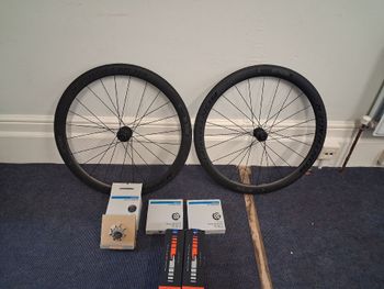 Used Bontrager Aelous 35 2024 bike