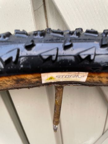 Used dugast Rhino bike — image 8 of 8