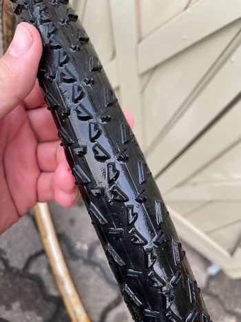Used dugast Rhino bike