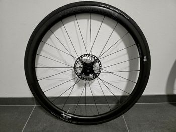 Used Velomann Palladium 33 Carbon Wheelset 2024 bike — image 4 of 12