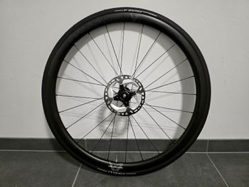 Used Velomann Palladium 33 Carbon Wheelset 2024 bike — image 5 of 12