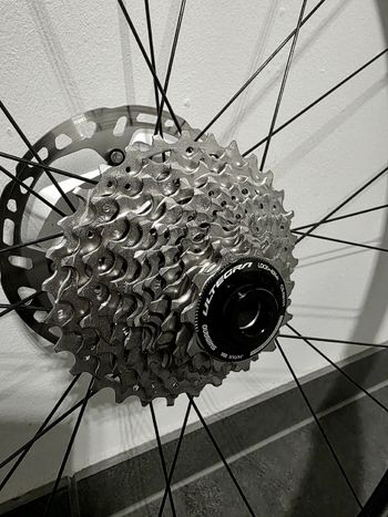Used Velomann Palladium 33 Carbon Wheelset 2024 bike — image 7 of 12