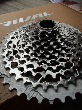 Used Sram Rival XPLR 10-44 cassette bike — image 2 of 3