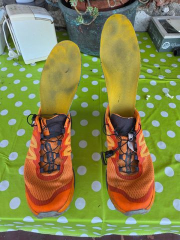 Salomon Sense Ride 4 Running Shoes usato