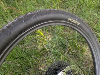 Used Roval Traverse SL II 350 29" Wheel 2026 bike — image 2 of 6