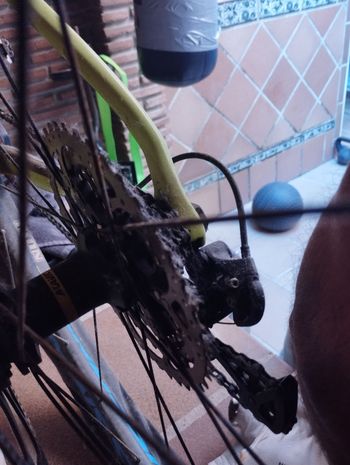 Used zitto Casette 9-42 11v bike — image 3 of 3