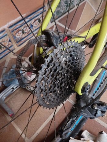 Used zitto Casette 9-42 11v bike