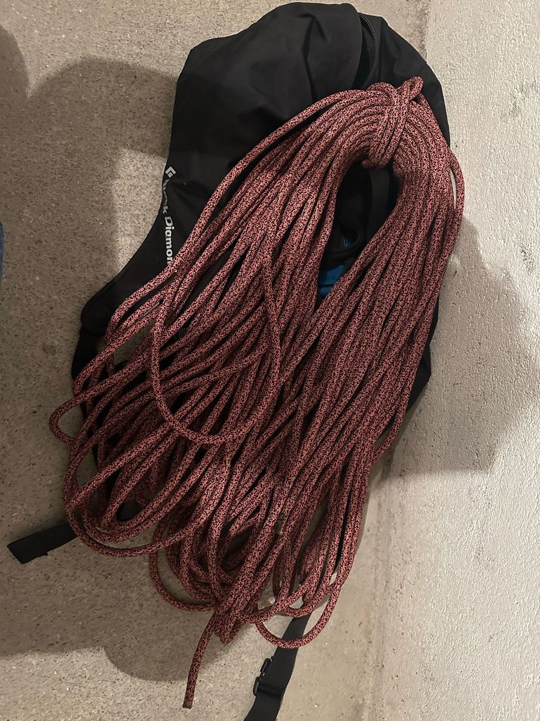 Used Edelrid Swift Protect Pro Dry 8.9mm Rope bike — image 1 of 2
