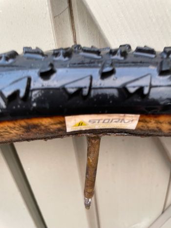 Used dugast Rhino bike — image 10 of 10