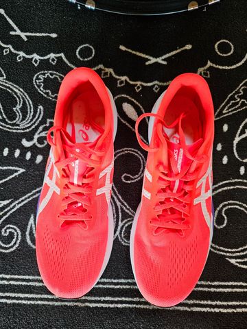 Gebrauchtes Asics Magic Speed 4 Uomo 2025 bike — Bild 1 von 12