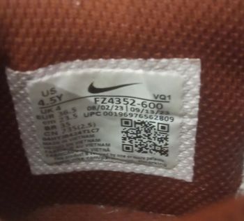 Used Nike SB Dunk Low bike — image 7 of 7