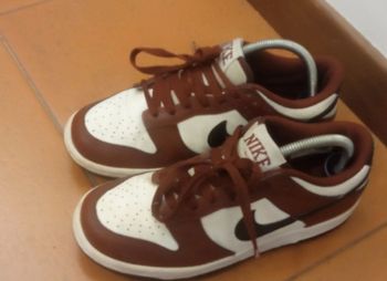 Used Nike SB Dunk Low bike
