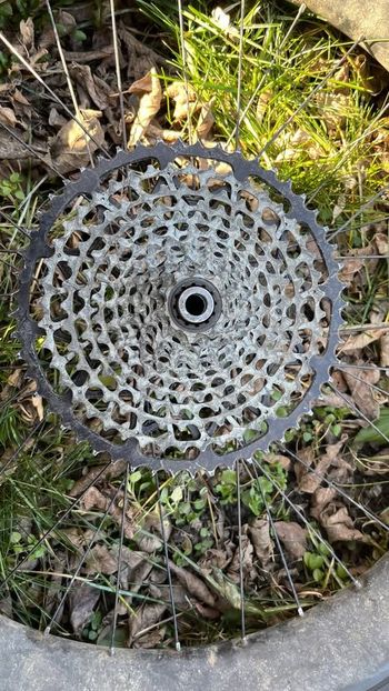 Used Surly 26x4.8 Fat Tire Carbon 100 mm Rim 2024 bike — image 2 of 2