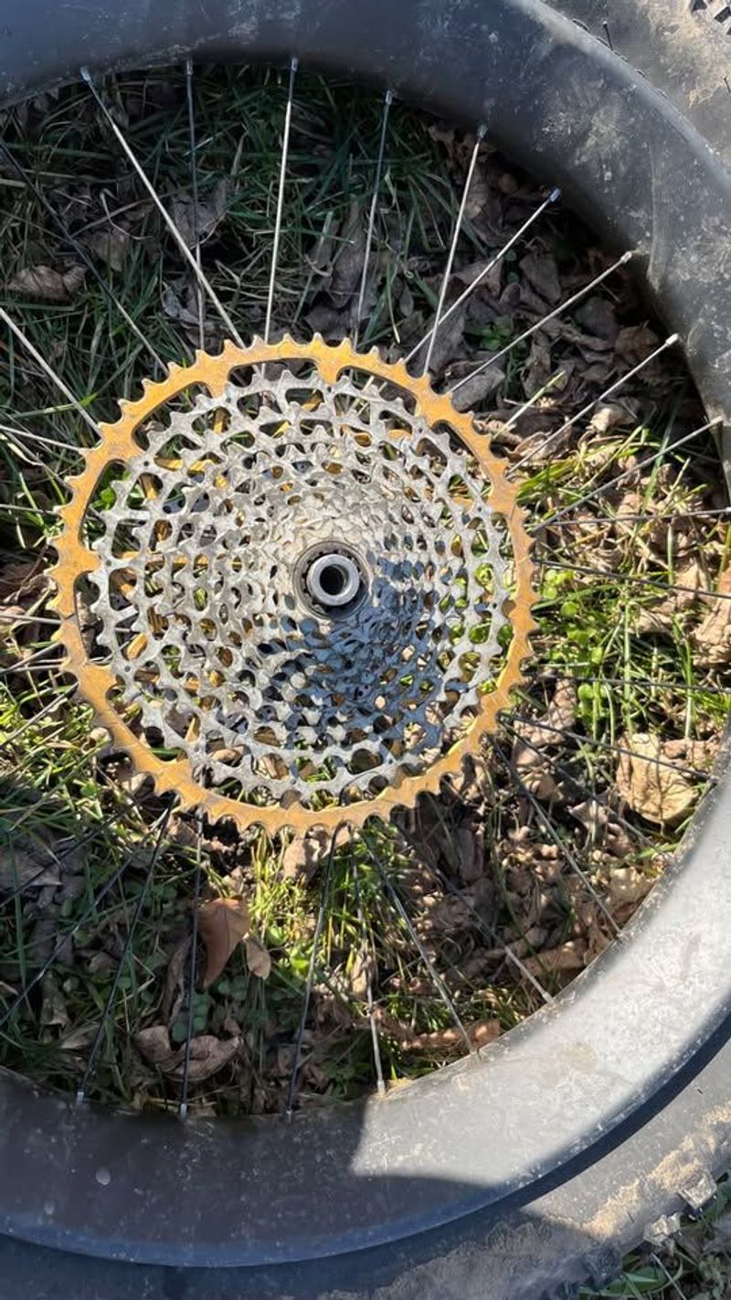 Used Surly Fat Tire Carbon Rim 2024 Wheels