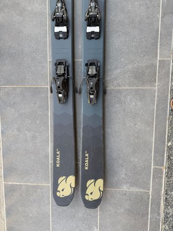 Gebrauchtes DPS Skis Koala 118 2024 bike — Bild 8 von 9