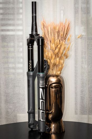 Used RockShox ZEB Ultimate 29" – 150mm – Charger 2.1 RC2 2020 bike — image 3 of 8