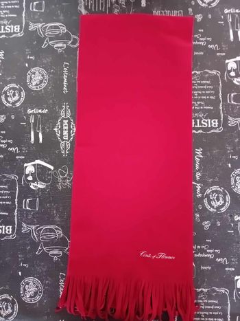 Used Conte of Florence Sciarpa più guanti bike — image 4 of 5