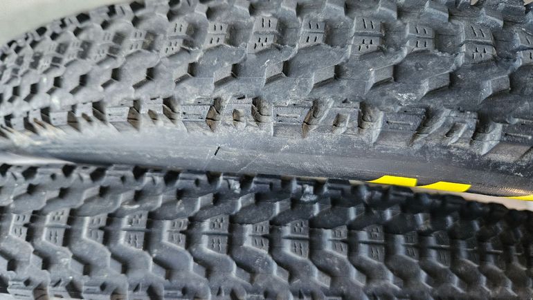 Used Maxxis ardent race bike — image 4 of 5