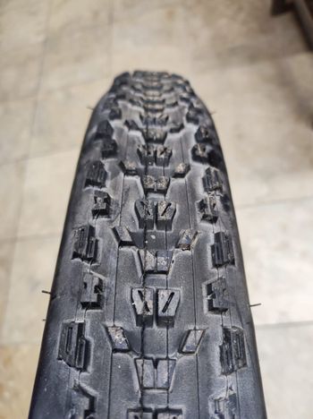 Used Maxxis Ardent Tires 2024 bike — image 3 of 3