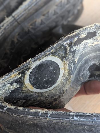 Used Ultradynamico ROSÉ Robusto Tire 2023 bike — image 4 of 4