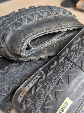 Used Ultradynamico ROSÉ Robusto Tire 2023 bike — image 2 of 4