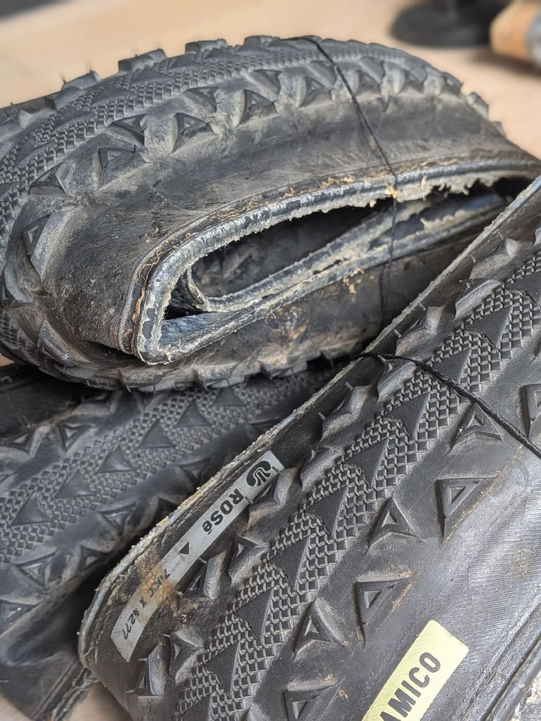 Used Ultradynamico ROSÉ Robusto Tire 2023 bike — image 2 of 4