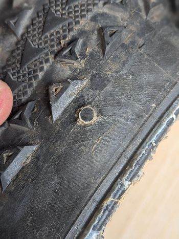 Used Ultradynamico ROSÉ Robusto Tire 2023 bike — image 3 of 4