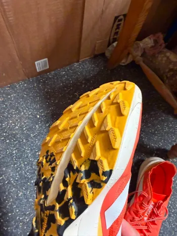 Used Adidas Terrex Agravic Speed Ultra bike — image 3 of 5
