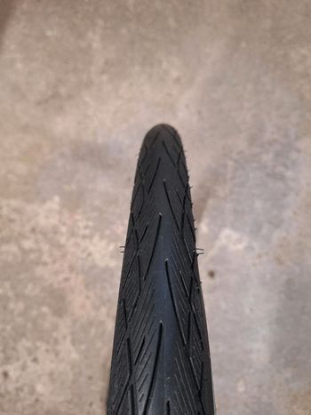 Used Schwalbe Citizen bike — image 3 of 4