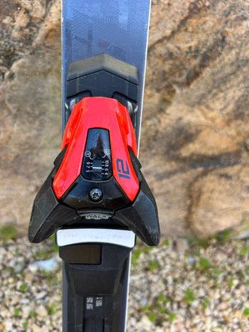 Used Stöckli Laser SC 163 cm 2023 bike — image 3 of 6